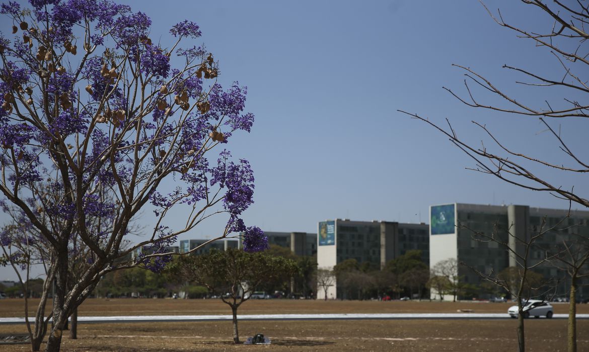 MEC busca formas de usar inteligência artificial em políticas públicas