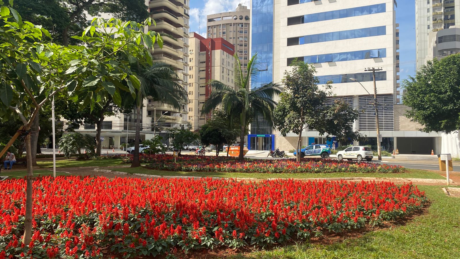 Prefeitura de Goiânia renova paisagismo de 250 canteiros com plantio de mudas floríferas