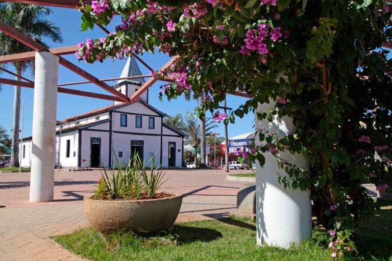 Aparecida realiza exposição de orquídeas e rosas do deserto