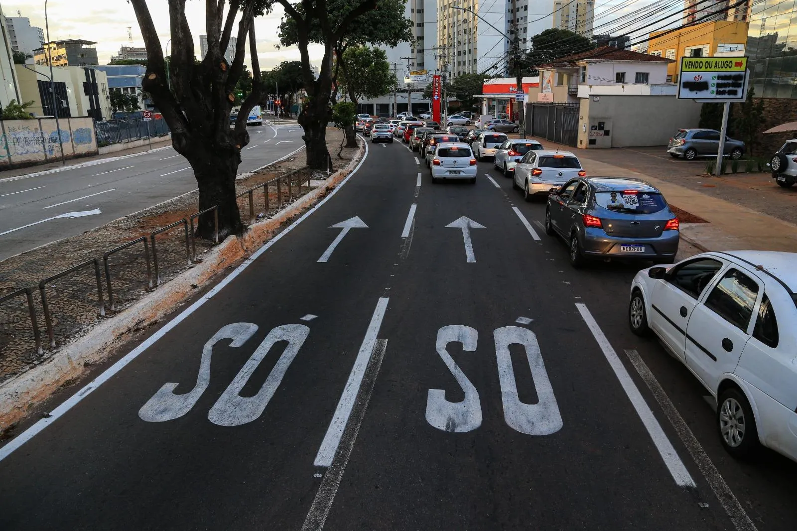 Especialista afirma: Goiânia possui o sistema de trânsito mais precário e atrasado do país