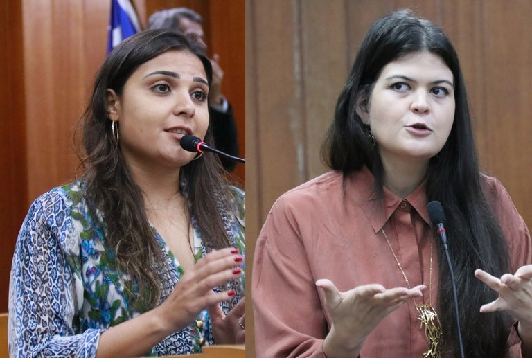 Audiência pública: debate acalorado entre vereadoras Sabrina e Aava