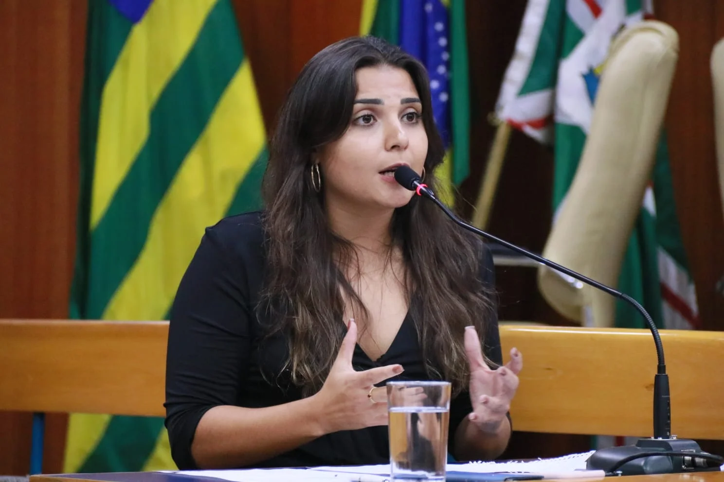 Audiência Pública: Sabrina Garcez promete “buscar resposta positiva” para concursados