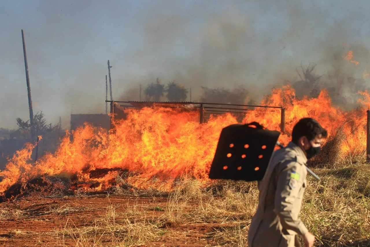 Incêndio florestal em Goiânia