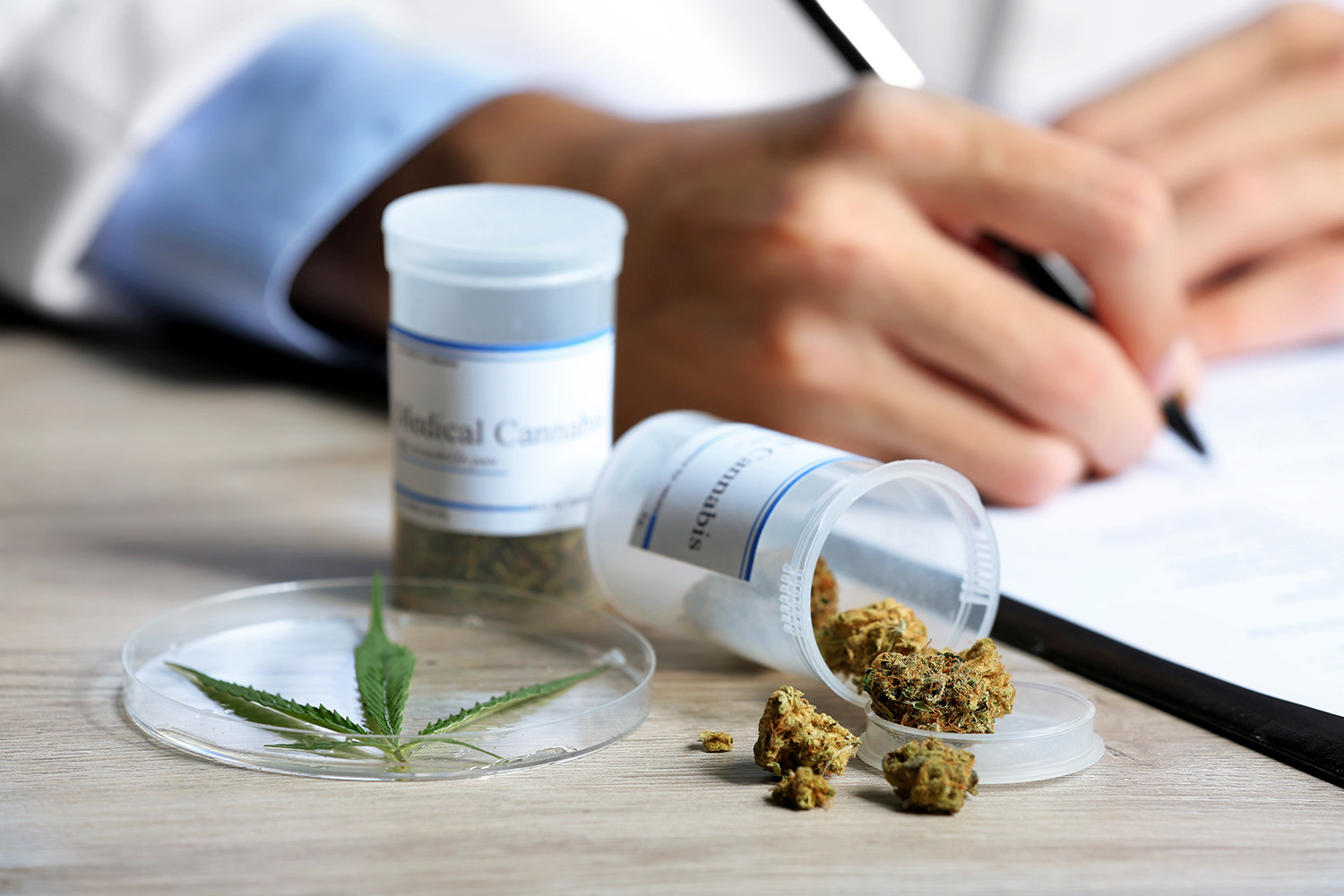 II Simpósio de Cannabis para Uso Medicinal