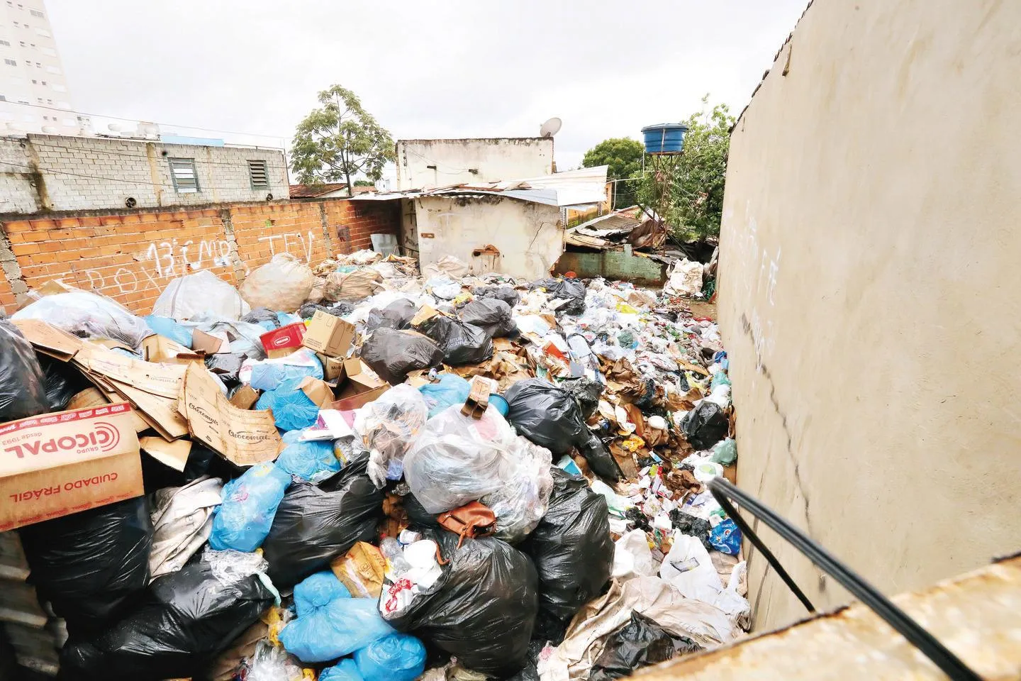 Proibição do acúmulo de lixo em Goiânia passa na CCJ