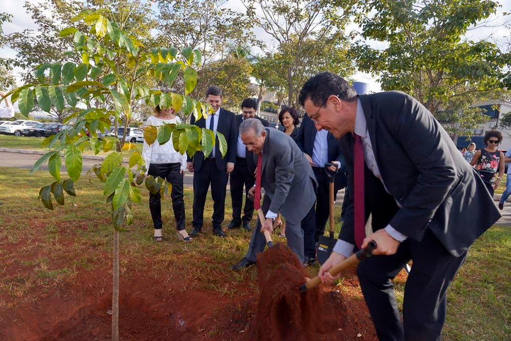 Goiânia é consagrada Cidade Árvore do Mundo pela ONU em reconhecimento à gestão ambiental de Iris Rezende