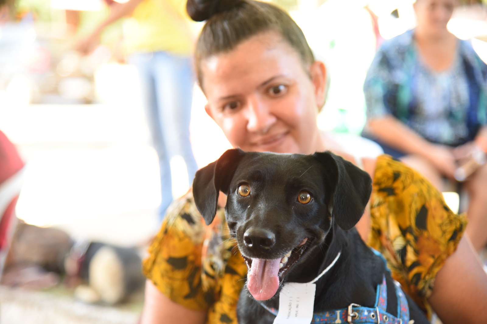 Castração social beneficia mais de 600 cães em Aparecida