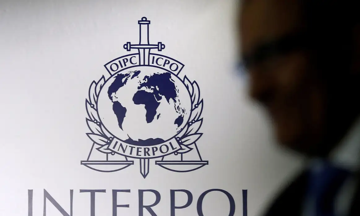 Delegado brasileiro é eleito para comandar a Interpol