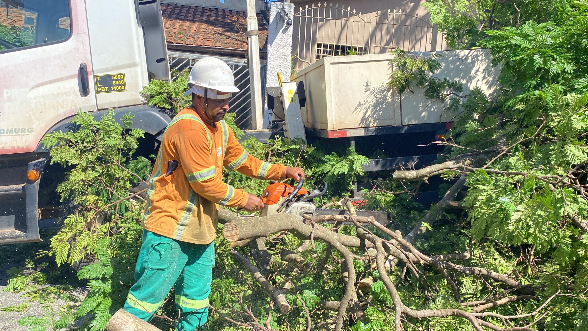 Prefeitura remove 48 árvores e 52 galhos que caíram devido às fortes chuvas