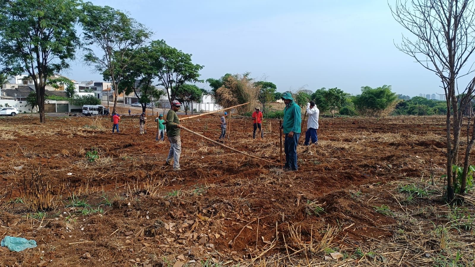 Prefeitura de Goiânia lança ArborizaGyn especial para recuperar área incendiada no Residencial Três Marias