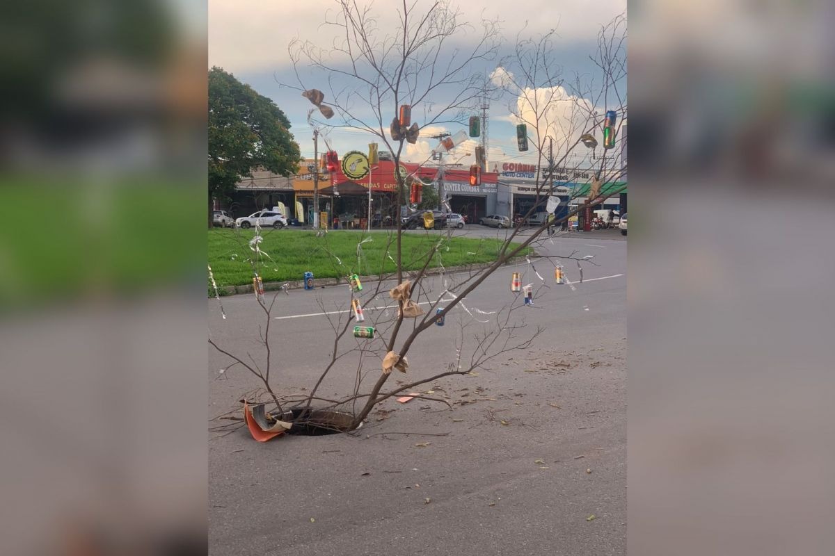 Comunidade transforma buraco em “árvore de Natal” improvisada para alertar sobre perigo no Setor Coimbra