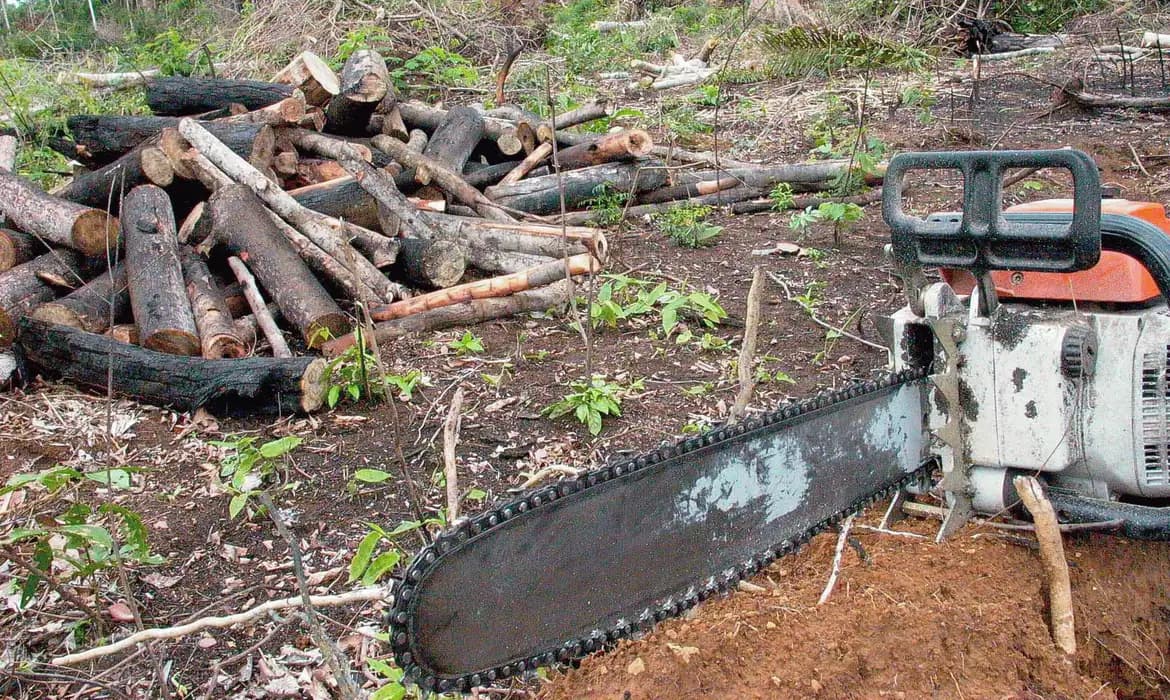 Brasil pode perder 120 mil hectares de floresta até 2050 por causa de demanda europeia por carros elétricos