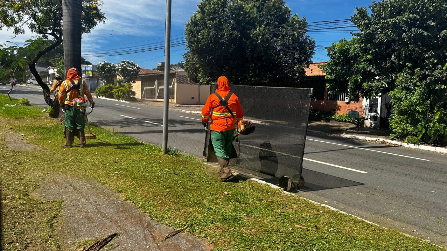 Câmara aprova projeto que responsabiliza a Prefeitura de Goiânia por danos durante serviço de roçagem