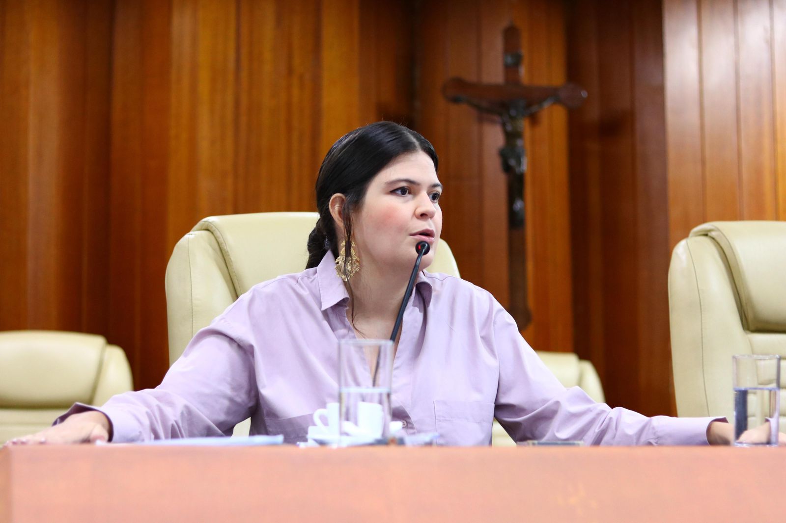Aava Santiago propõe programa “Bebê a Bordo” para transporte humanizado após o parto