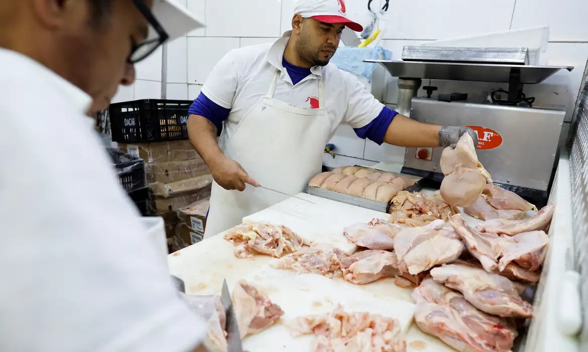 Brasil volta a ser país livre da influenza aviária, confirma Ministério da Agricultura