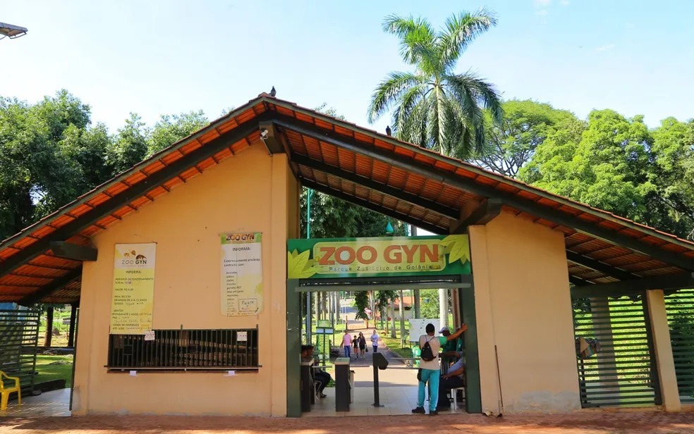 Zoológico de Goiânia promove ações educativas sobre serpentes e jacarés