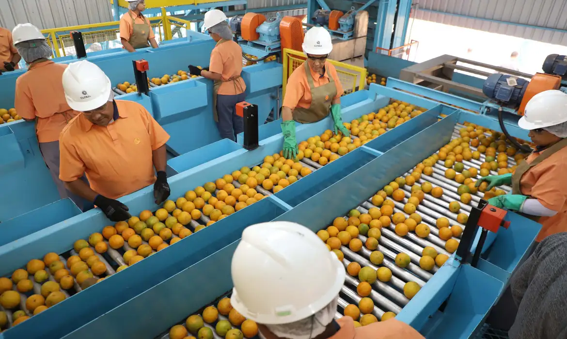 Trump taxa café, frutas e carnes do Brasil em 50%; suco de laranja e fertilizantes ficam de fora