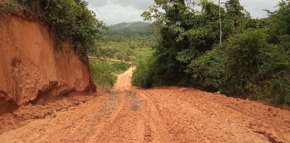 Estrada entre Guiana e Brasil vai impulsionar comércio