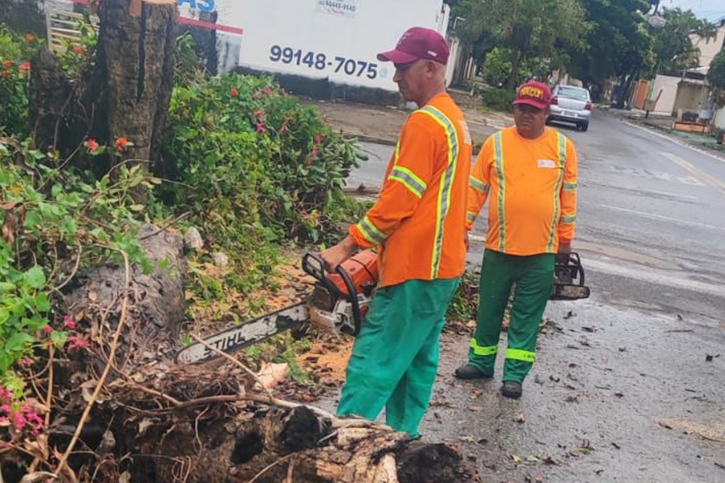 Podas preventivas da Comurg somam 16 mil em janeiro
