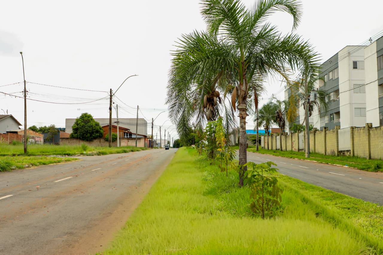 Credenciamento Minha Casa Minha Vida em Senador Canedo