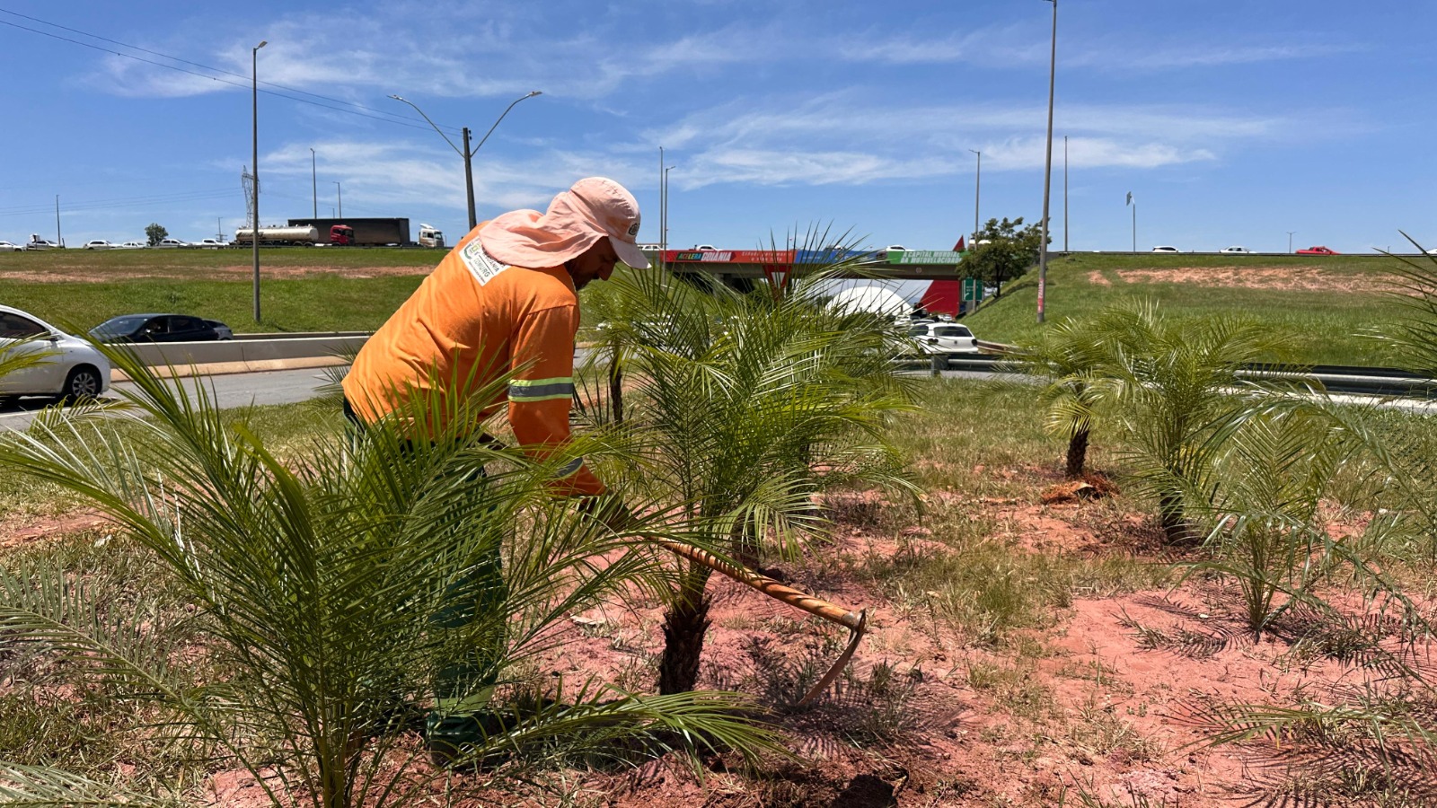 Prefeitura inicia requalificação paisagística no cruzamento da BR-153, GO-020 e Avenida Jamel Cecílio
