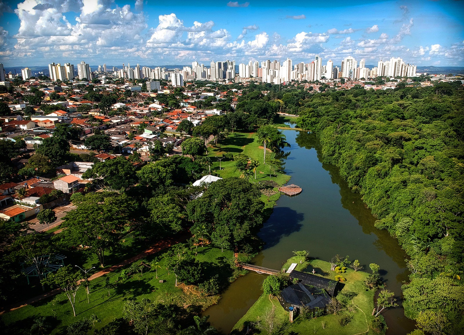 Goiânia é reconhecida como “Cidade Árvore do Mundo” e segunda capital mais arborizada do Brasil