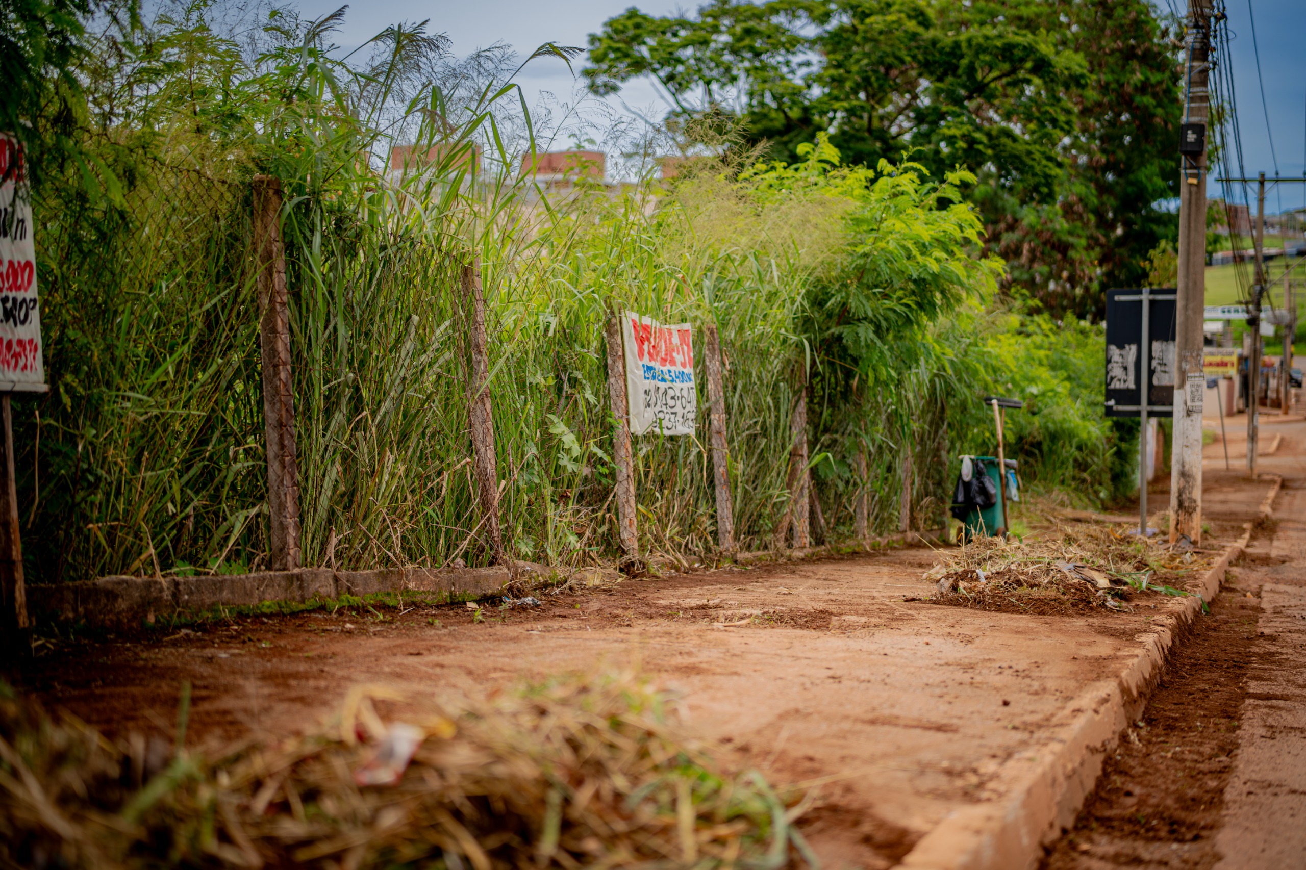 Prefeitura de Anápolis reforça que proprietários de lotes com mato alto serão penalizados a partir de domingo (12); multas podem chegar a 50% do IPTU e ITU