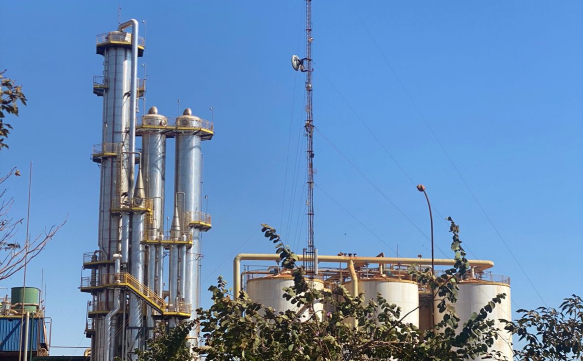 Safra de cana 2026/27: Goiás deve avançar na produção de etanol