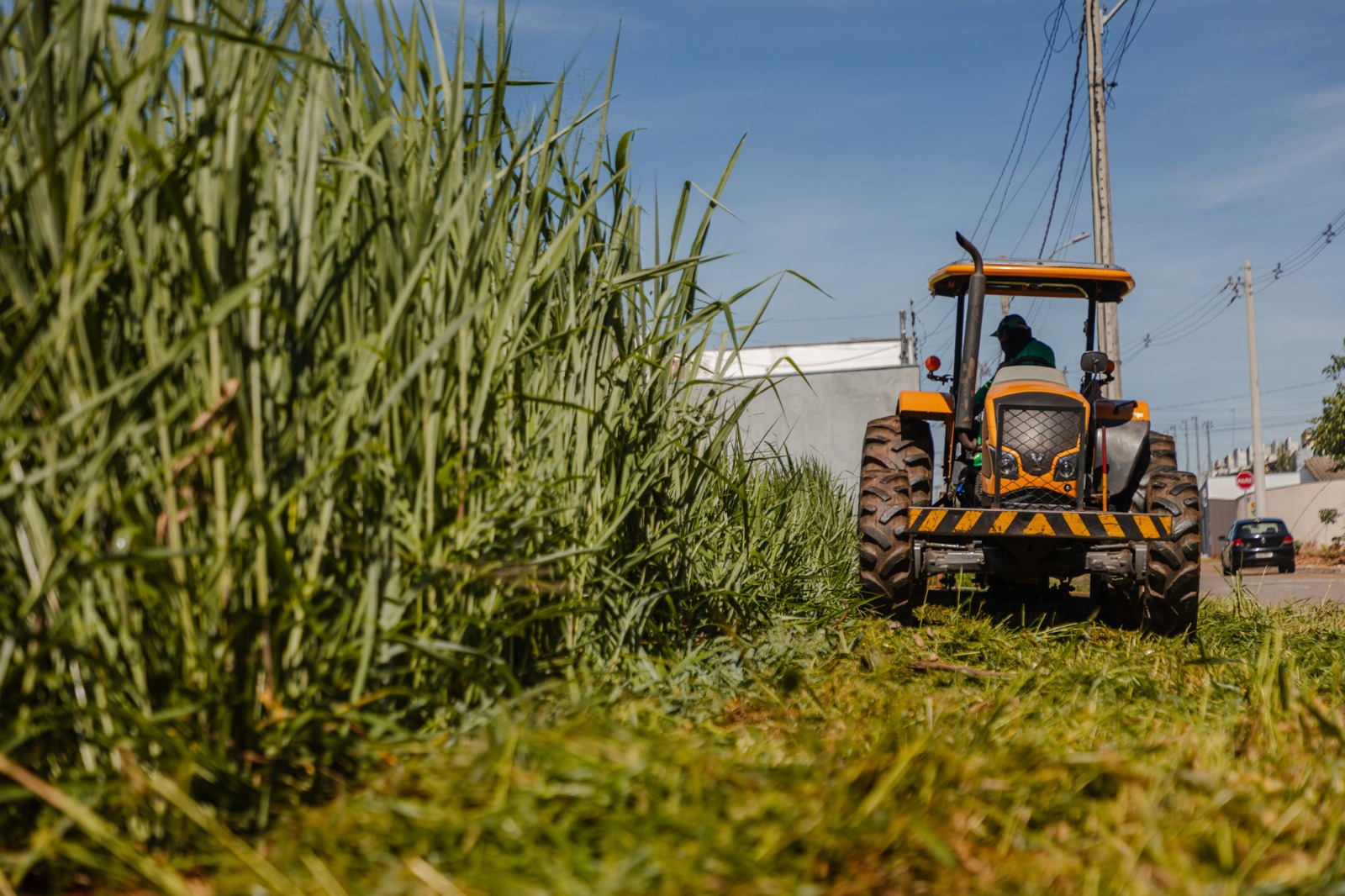 Lote com mato alto vai pesar no bolso em Anápolis e custo total pode ultrapassar valor do IPTU e ITU; entenda cálculo