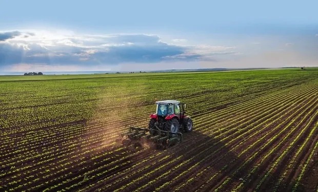 Guiana oferece terras e mira produtores brasileiros para expandir agro
