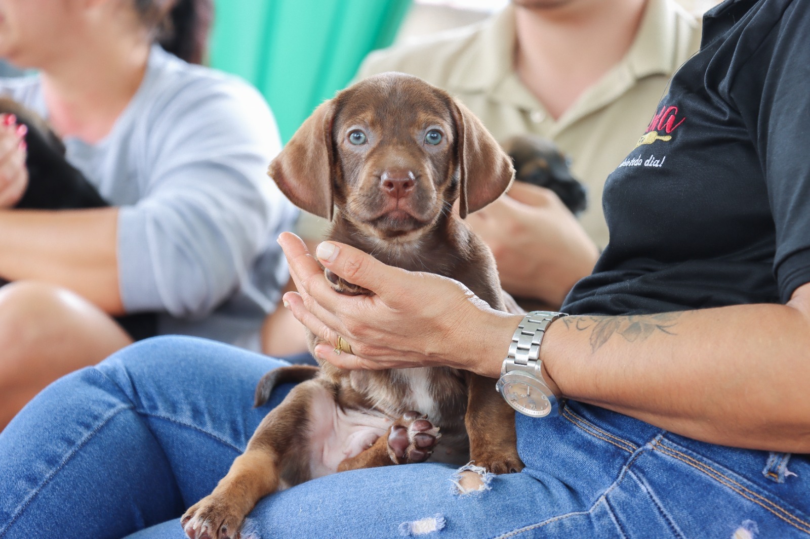 Seminário aborda cuidado animal nas escolas em Senador Canedo