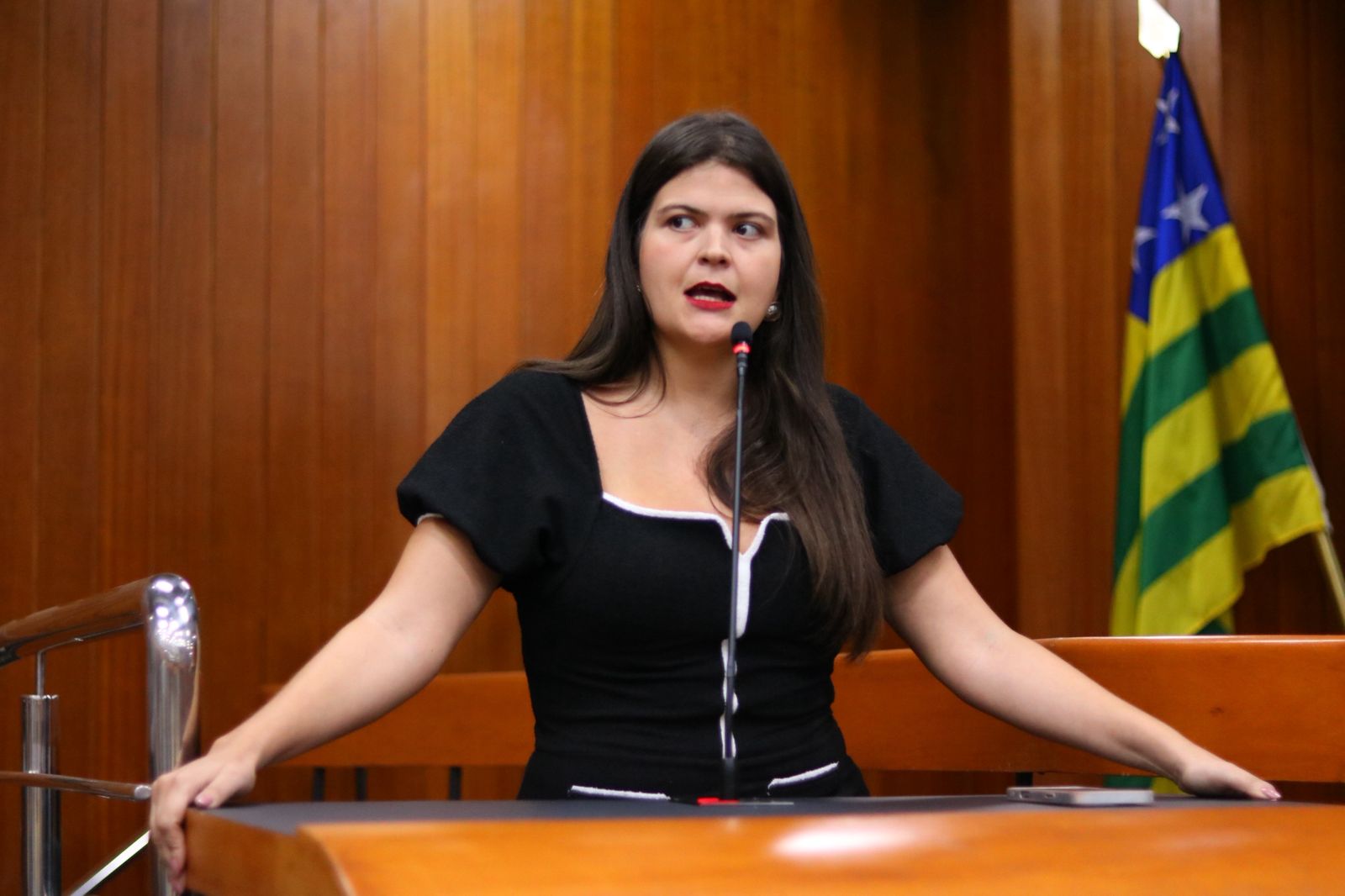 Aava Santiago articula, e Câmara de Goiânia derruba veto ao “Bebê a Bordo”