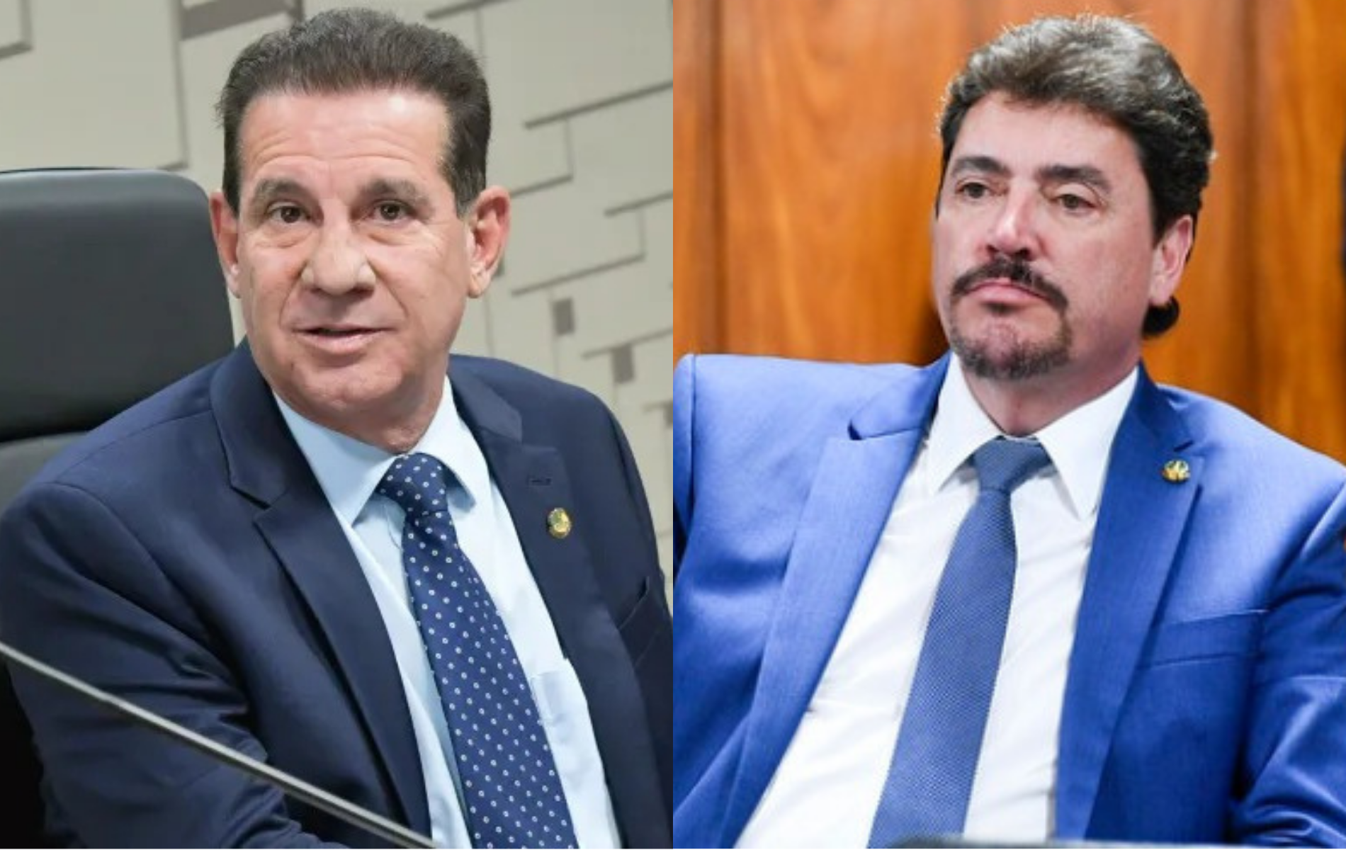 Dois goianos aparecem entre os senadores mais ricos do Brasil