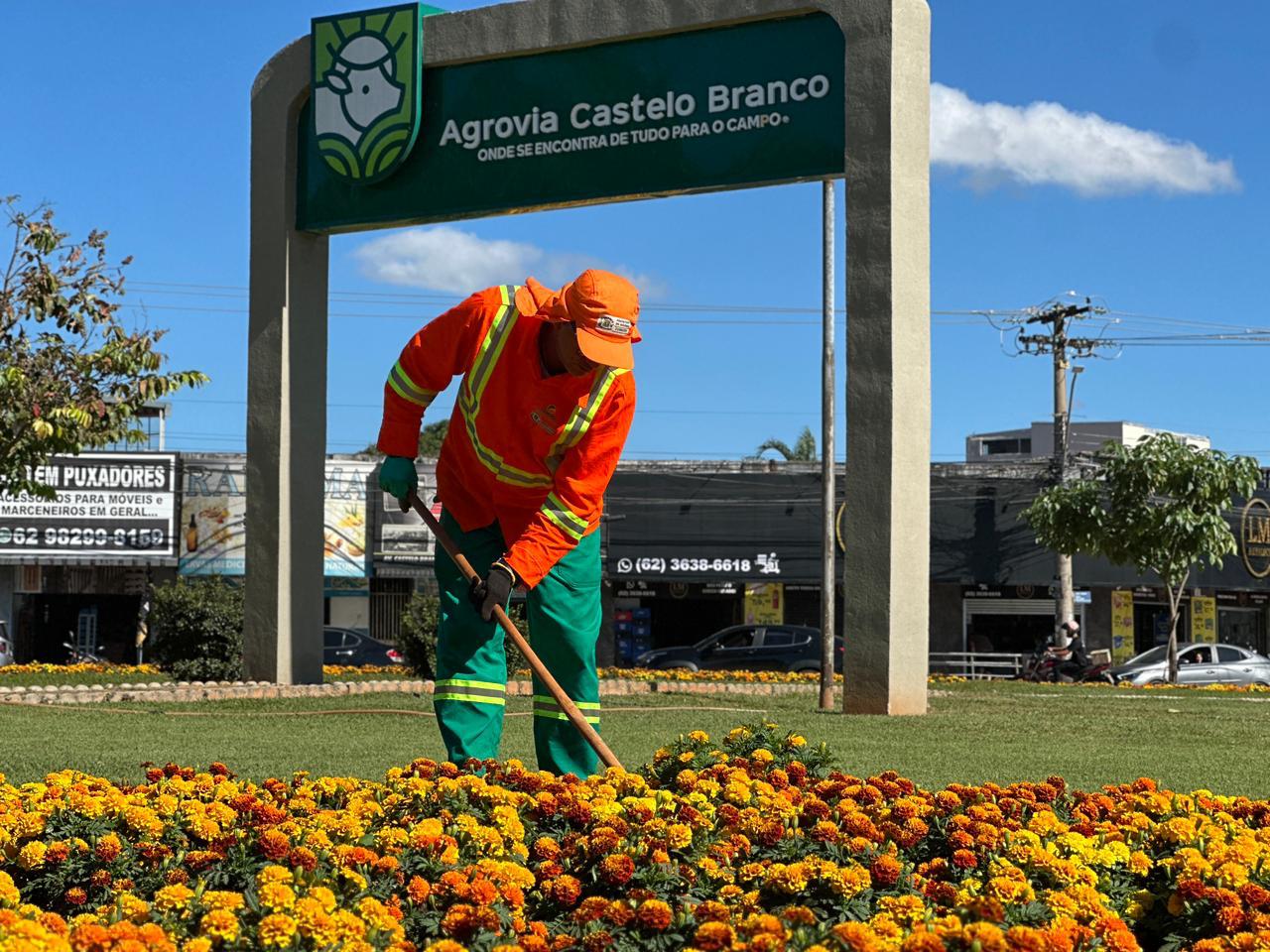 Flores transformam paisagem urbana em sete pontos da capital