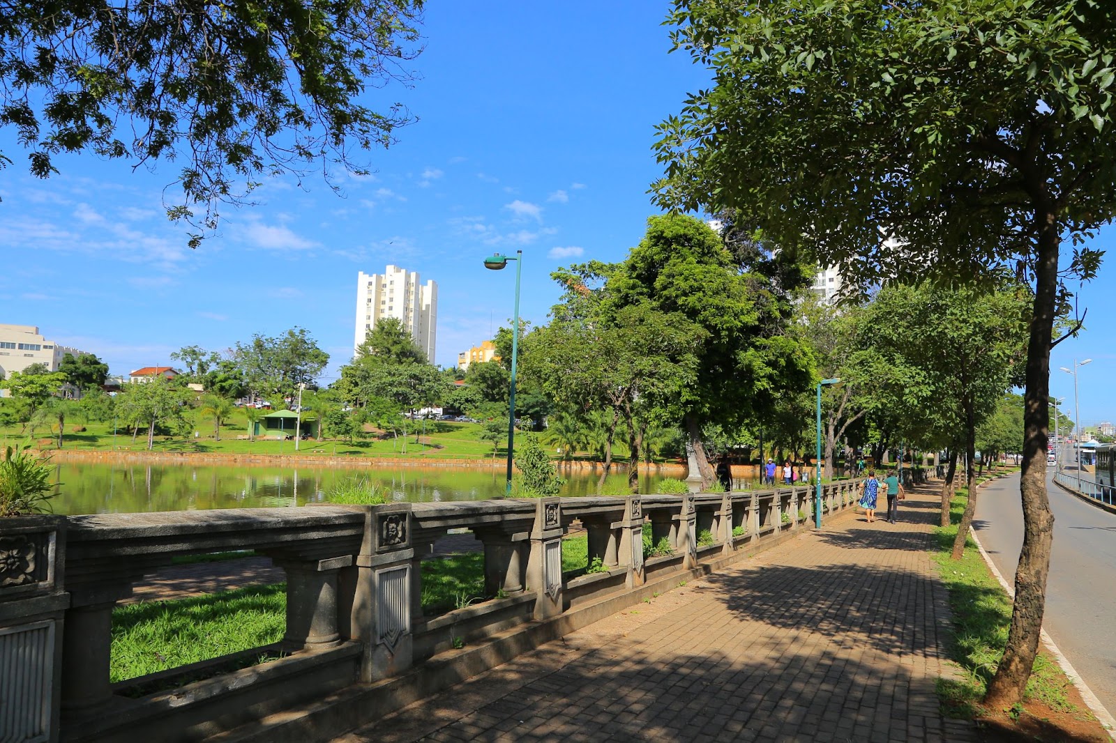 Justiça suspende corte de árvores no Lago das Rosas, em Goiânia