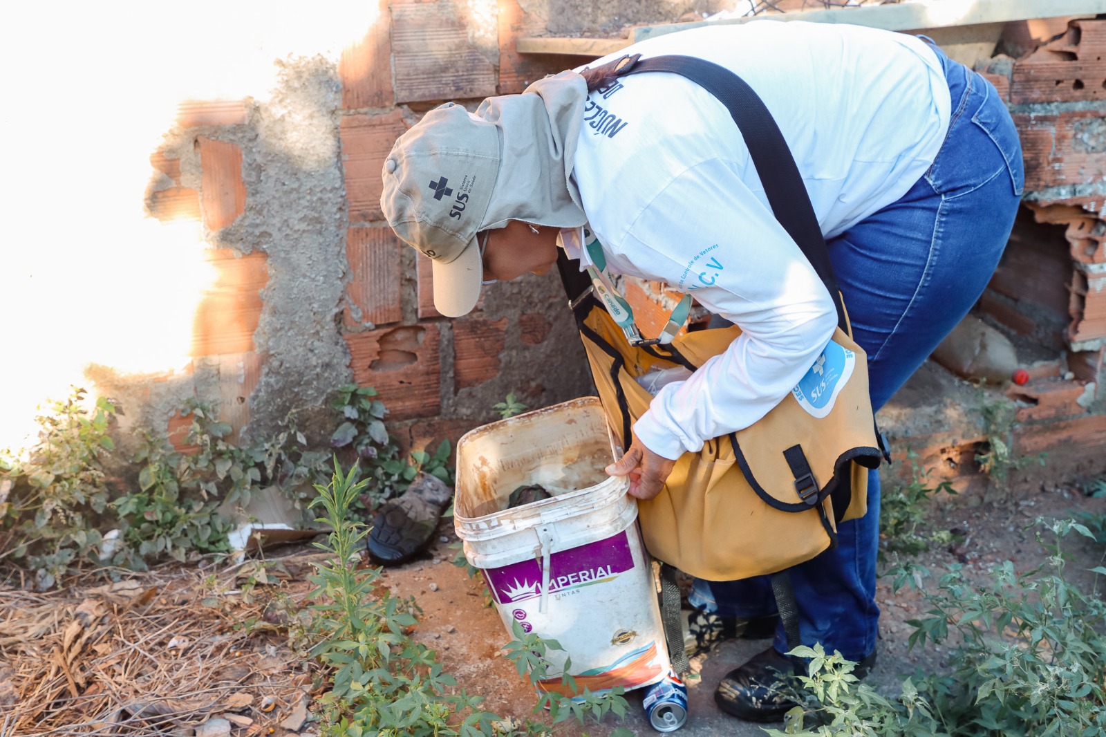 Mutirão contra dengue visita mais de 3 mil imóveis em Senador Canedo