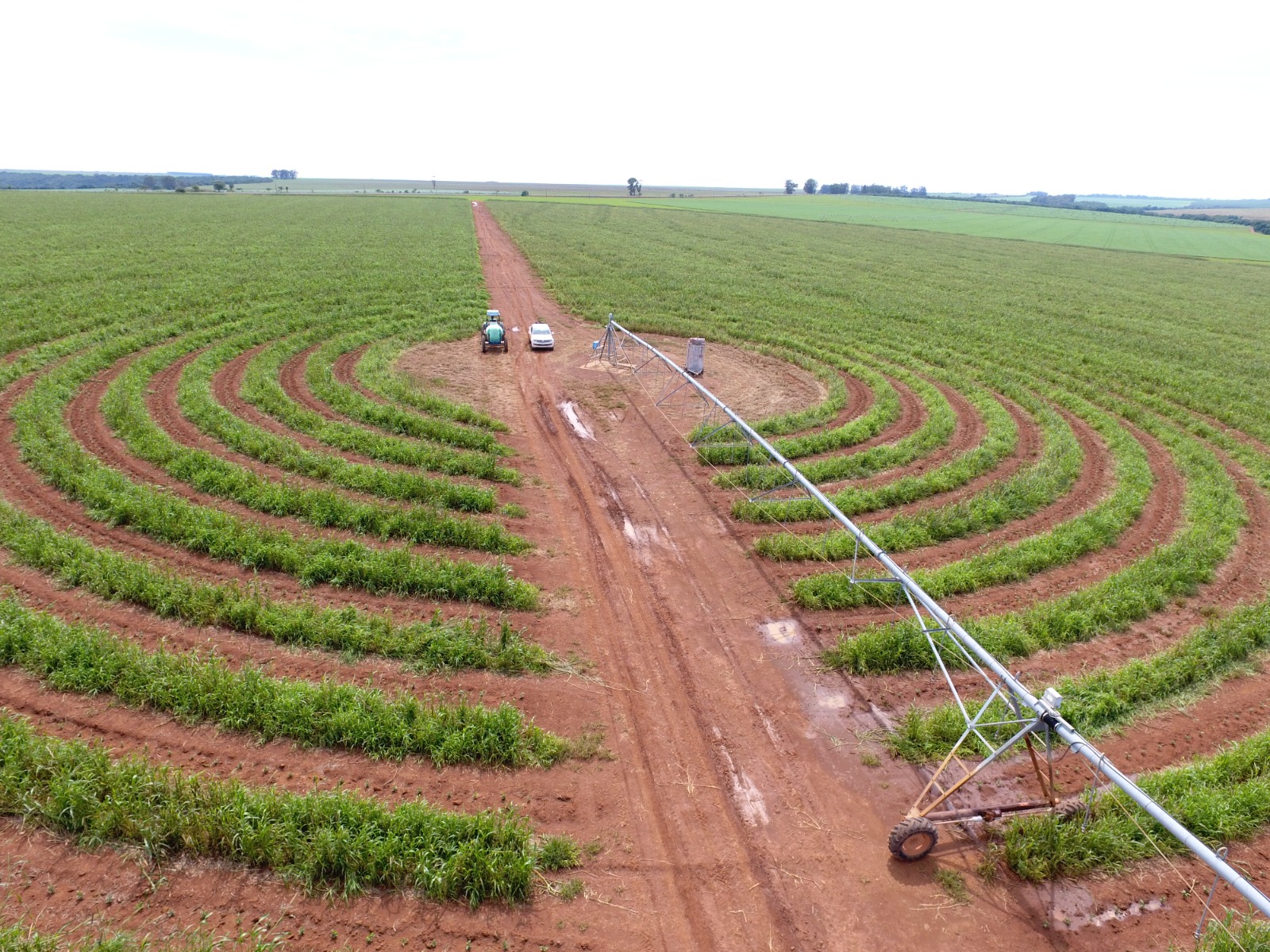 Irrigação aumenta consumo de energia em 11% em Goiás