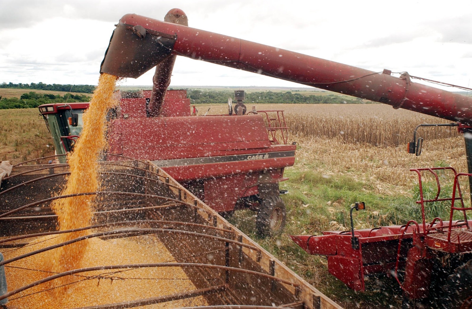 MP abre renegociação de R$ 100 bilhões no crédito rural