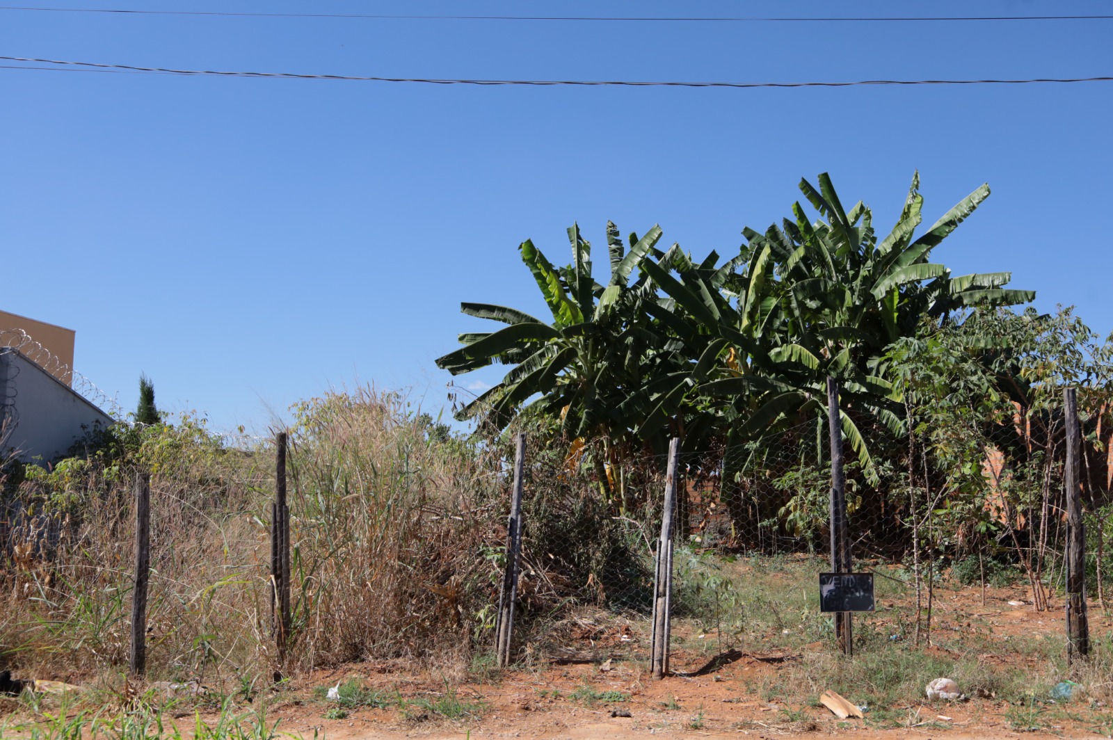Prefeitura de Aparecida regulamenta limpeza de lotes baldios e reforça responsabilidade dos proprietários
