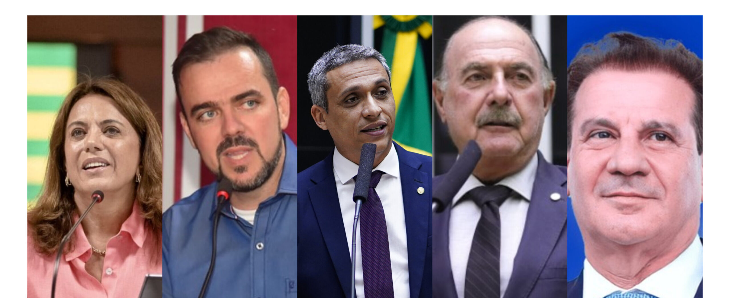 Time Big Data: Gracinha lidera para o Senado, e Gayer e Mendanha aparecem embolados