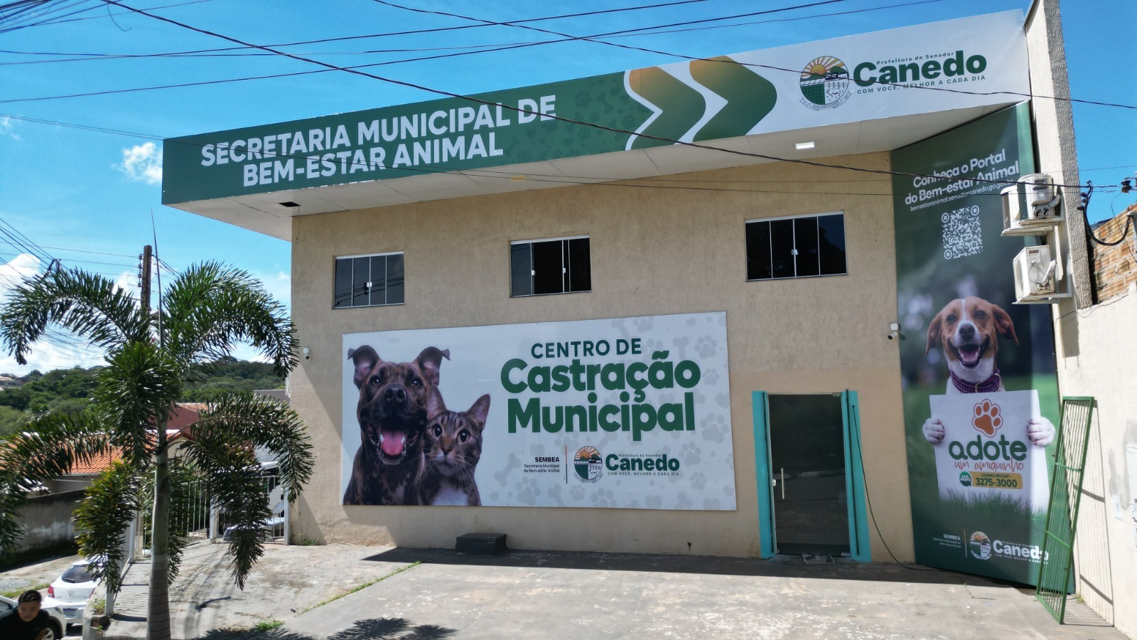Senador Canedo supera em sete meses número de castrações feitas em todo 2025