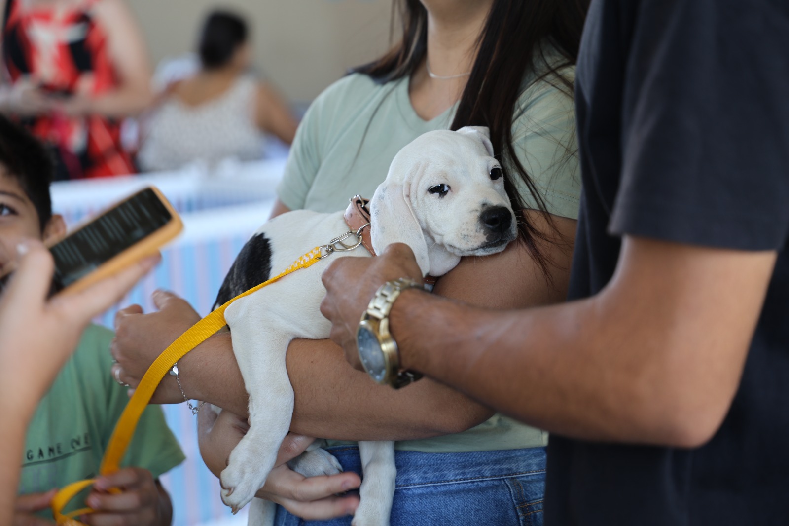 Prefeitura de Aparecida celebra um ano do “Deu Match Com Meu Pet” com 250 animais adotados