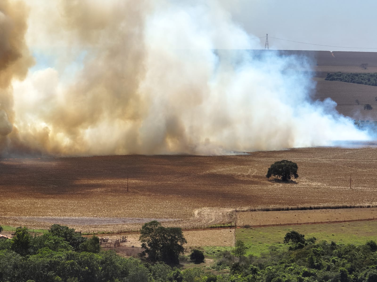 Incêndios perto da rede elétrica exigem distância e acionamento dos bombeiros, alerta Equatorial