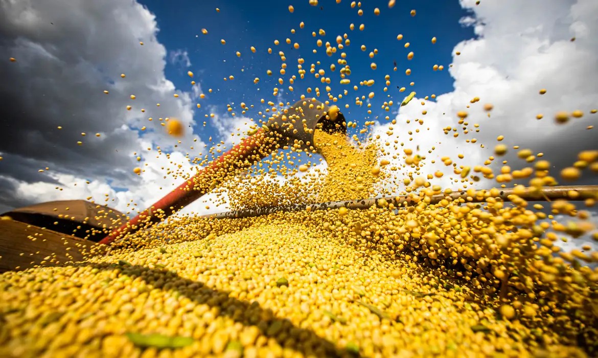 Produção agrícola do Brasil supera R$ 927 bilhões e bate recorde em 2025