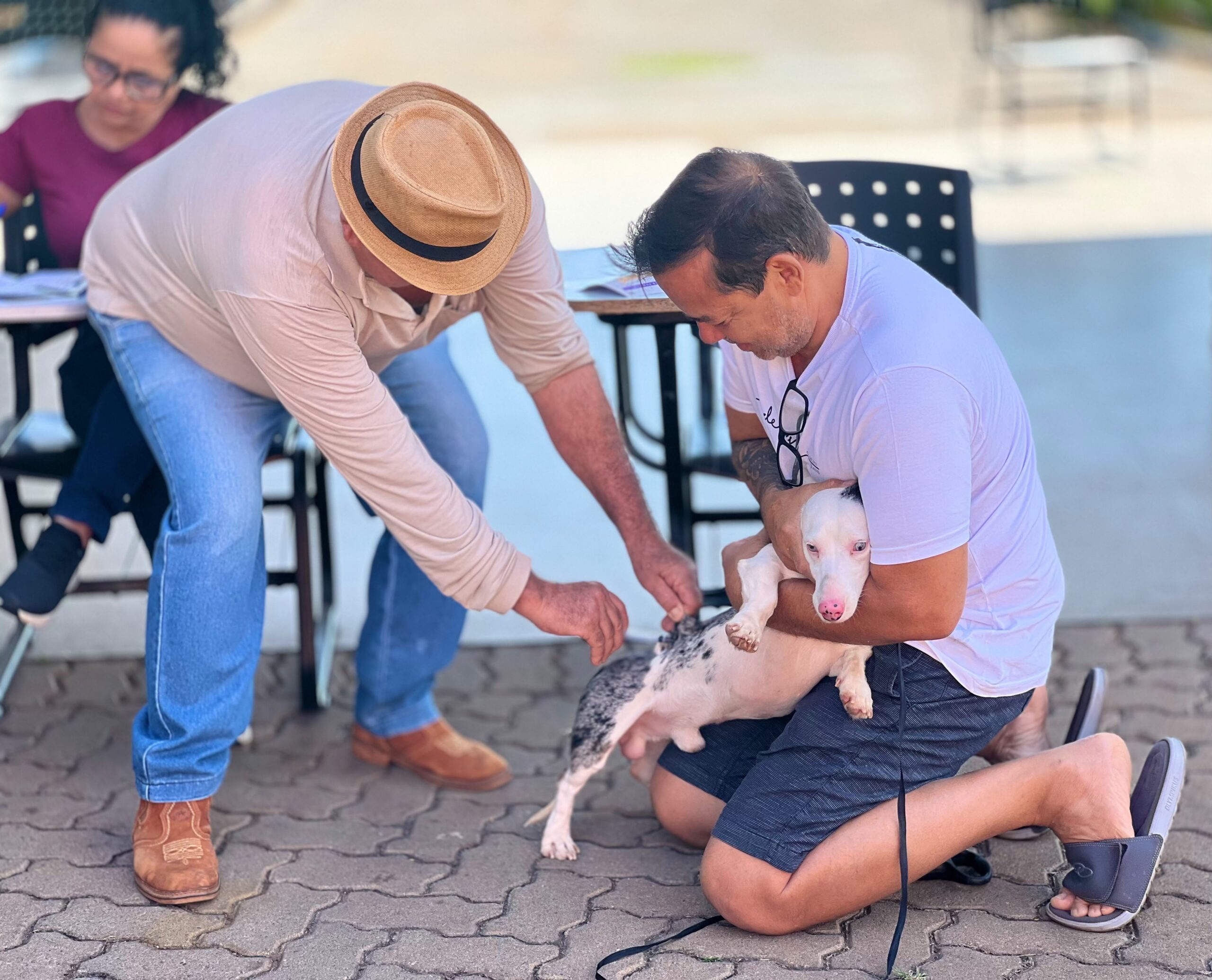 Goiânia realiza vacinação antirrábica em mais de 140 locais neste sábado (19/9)