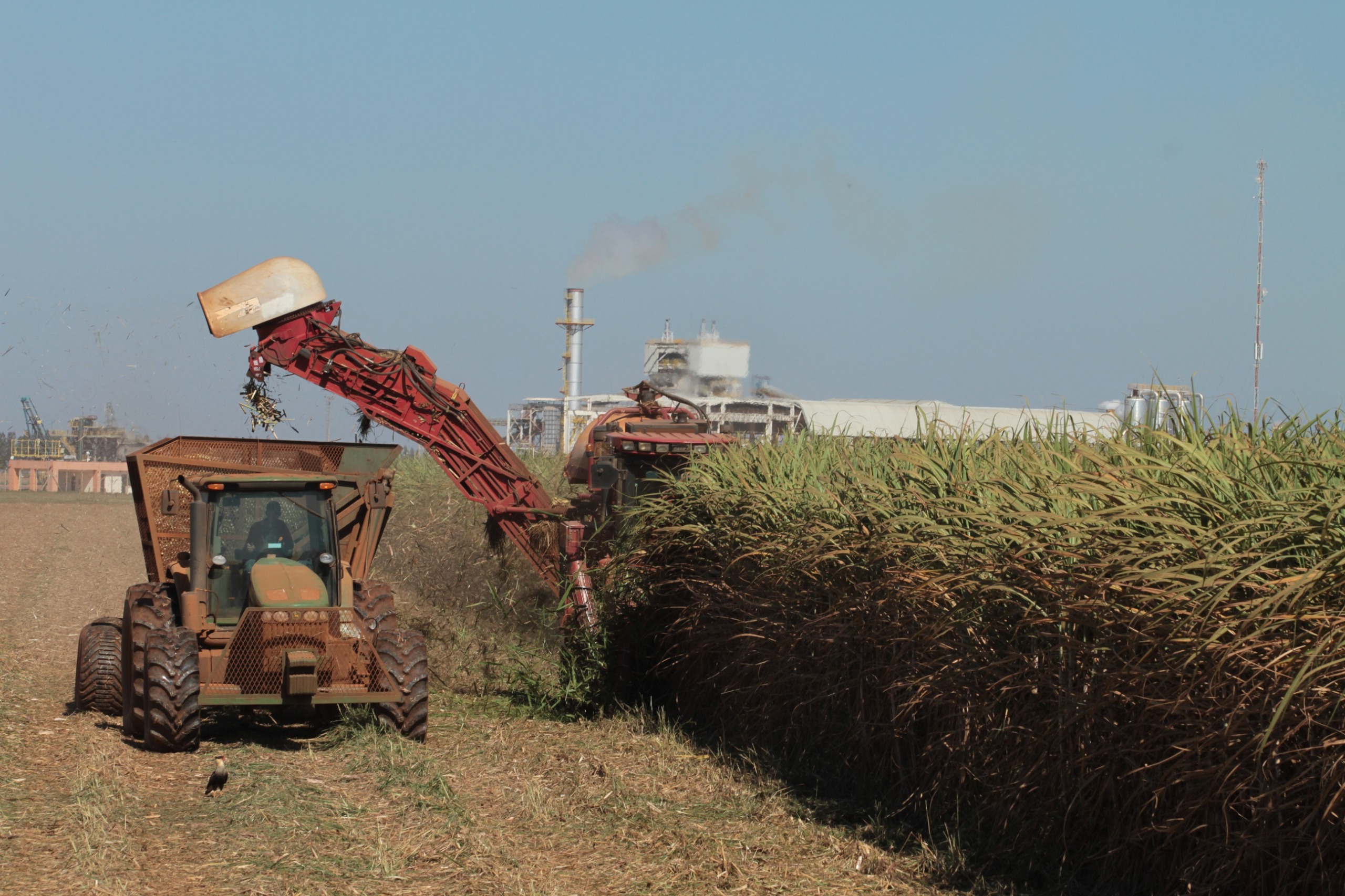 Goiás lidera três culturas agrícolas no país e produz 20,3 milhões de toneladas de soja