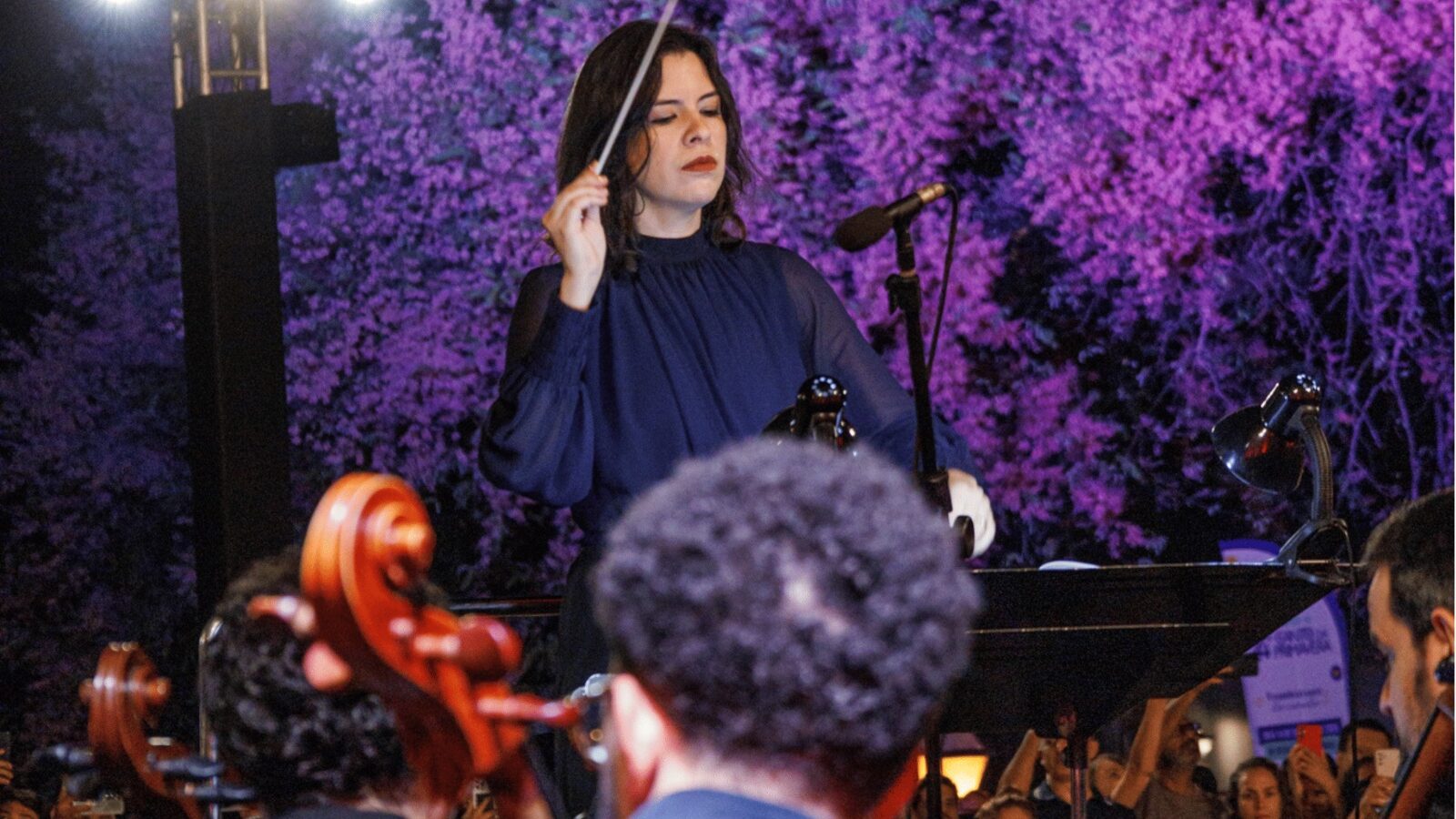 Filarmônica de Goiás abre 25º Canto da Primavera com Almir Pessoa