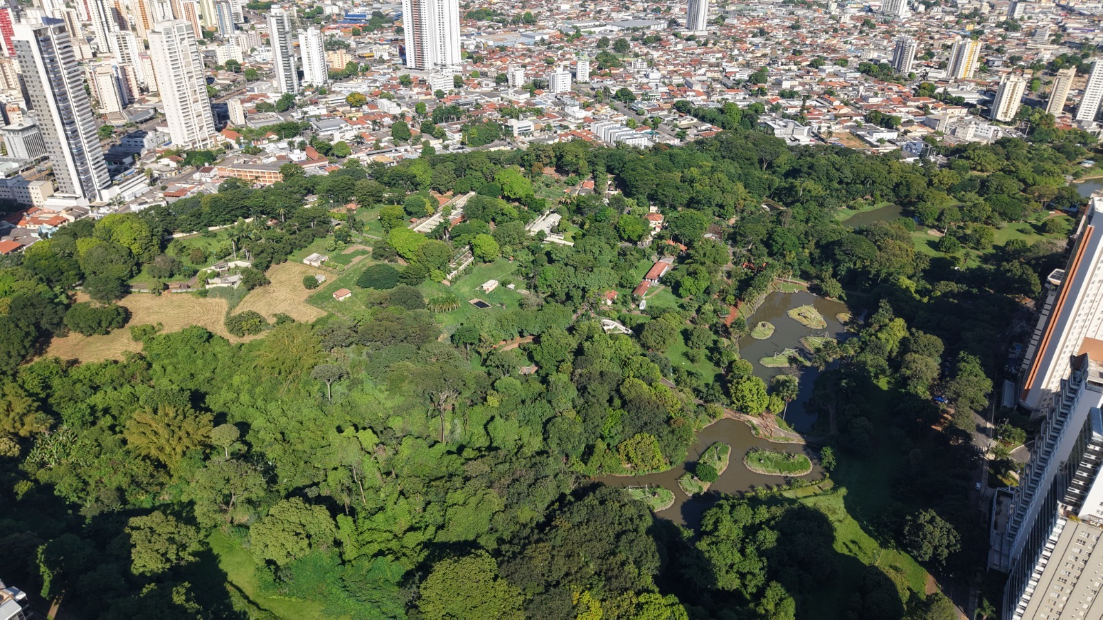 Pesquisa aponta que 98,3% dos visitantes recomendam Goiânia como destino turístico