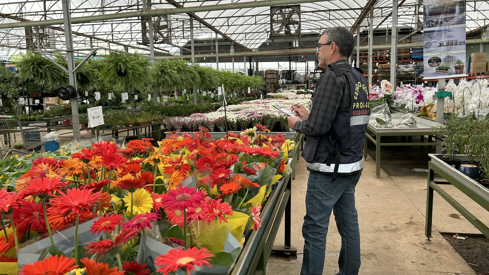 Finados: Procon Goiás encontra variação de 605% no preço das flores entre estabelecimentos